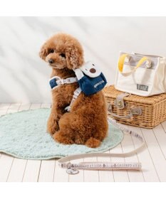 PET PARADISE リサとガスパール ラインリード ４Ｓ～３Ｓ