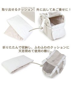 PET PARADISE ペットパラダイス 四角 キャリーバッグ  超小型犬  パイピング