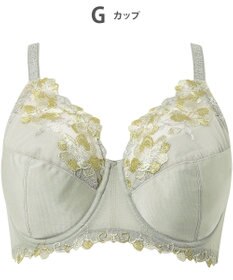 Wing ブラジャー Wing Lesiage 安定感のあるつけごこち 綿混素材(肌側) 【5010シリーズ】 フルカップブラ Hカップまで対応 大きいサイズ PB5010 ウイング／ワコール