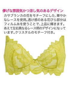 BRADELIS New York 【BRADELIS New York / 育乳補整ブラ・STEP1 集める】ジャスミンステップ1ブラ24A1