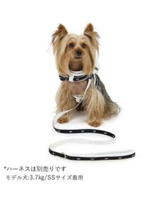 PET PARADISE  Ｌｅｅ 白テープ リード 超小型犬 ４Ｓ~３Ｓ