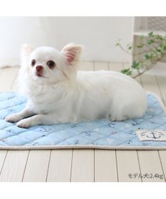 PET PARADISE ペットパラダイス クール マット 《マリン柄》 48×40cm