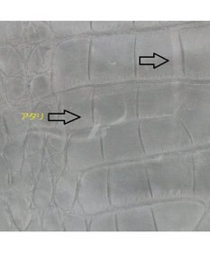 Regalo Felice 【お財布機能付き / 人気商品がリニューアル】ポシェット / REGALO