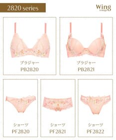 Wing Wing Lesiage　【2820シリーズ】　ブラジャー　脇すっきりの着やせシルエット　背中の段差軽減　ウイング／ワコール　PB2821