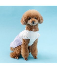 PET PARADISE ペットパラダイス フロッキー お花 ワンピース 《パープル》  小型犬