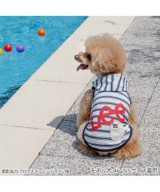 PET PARADISE Lee タッチワンクール プラス ネオタンクトップ 小型犬