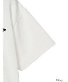 Green Parks オズワルド／ラインポロシャツ