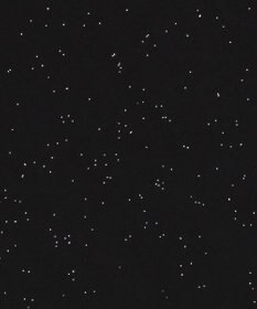 WEGO 【ユニセックス着用ITEM/MLサイズ展開】ラメグラフィックT（SS）