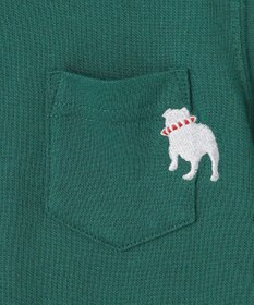 J.PRESS KIDS 【100-130cm】カノコ バックブル 半袖ポロシャツ