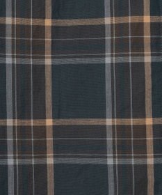 J.PRESS LADIES 【洗える】シアーマドラス バンドカラー ブラウス