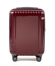 ACE BAGS & LUGGAGE ace. パリセイドZd 機内持ち込み Sサイズ 35～40L 06816 エース