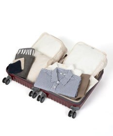 ACE BAGS & LUGGAGE ace. パリセイドZd 機内持ち込み Sサイズ 35～40L 06816 エース