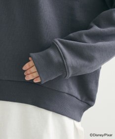 Green Parks トイストーリー／バック刺繍プルオーバー