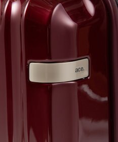 ACE BAGS & LUGGAGE ace. パリセイドZd 機内持ち込み Sサイズ 35～40L 06816 エース