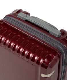 ACE BAGS & LUGGAGE ace. パリセイドZd 機内持ち込み Sサイズ 35～40L 06816 エース