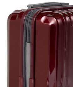 ACE BAGS & LUGGAGE ace. パリセイドZd 機内持ち込み Sサイズ 35～40L 06816 エース