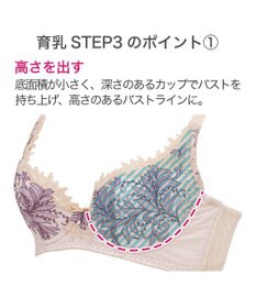 BRADELIS New York 【BRADELIS New York / 育乳STEP3 持ち上げる】ヴィオラステップ3ブラ23A1 美胸 谷間メイクする補正ブラ