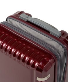 ACE BAGS & LUGGAGE ace. パリセイドZd 機内持ち込み Sサイズ 35～40L 06816 エース