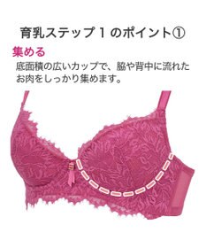 BRADELIS New York 【BRADELIS New York】ウェンディステップ1ブラ23A1 ふんわり包んでナチュラルなシルエットを作る補正ブラ