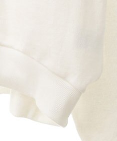 Green Parks トイストーリー／バック刺繍プルオーバー