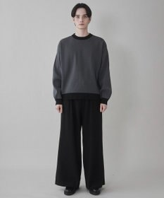 WEGO クリアライトリバーシブルプルオーバー