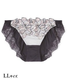 San-ai Resort（三愛水着楽園） エレガントコレクション【2411】ノーマルショーツLL 【northerly】