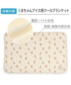 PET PARADISE ペットパラダイス くまちゃん クール ブランケット 《アイス柄》