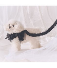 PET PARADISE cherircouture フリフリリード 《ブラック》ＳＳ～Ｓ  小型犬