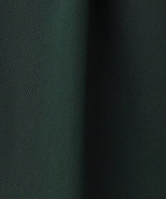 BEIGE， 【洗える】GAZANIA / コットンチノ2タックワイドパンツ