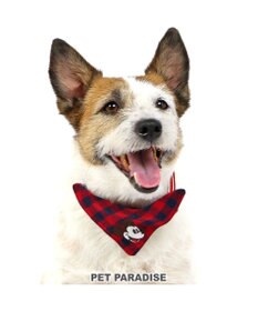PET PARADISE ディズニー ミッキーマウス プルート  散歩柄首輪【ＳＳ】 小型犬