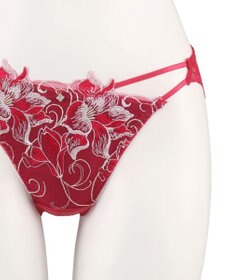 San-ai Resort（三愛水着楽園） エレガントコレクション2311バックレースショーツ【M・Lサイズ】【northerly】