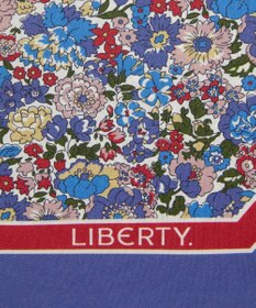 LIBERTY. ネル・アニー アンド メイ 15X100 リボン シルクスカーフ