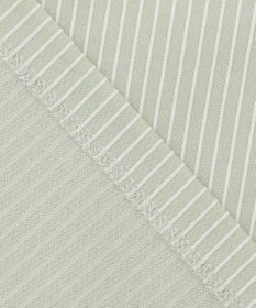 J.PRESS LADIES L ピンストライプジャージー ボリュームスリーブ カットソー