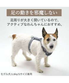 PET PARADISE ペットパラダイス アクティブハーネス 杢調 ＳＳ 小型犬