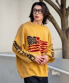 WEGO スリーブロゴニットプルオーバー