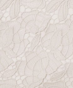 23区 【GOLD LABEL】BROCHEレース フレアスカート