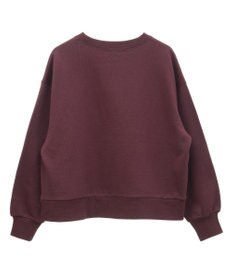 Green Parks 裏起毛フロッキーロゴプルオーバー