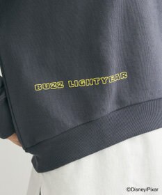 Green Parks トイストーリー／バック刺繍プルオーバー