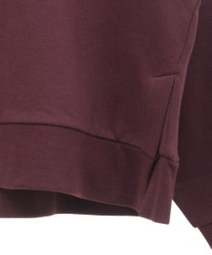 Green Parks 裏起毛フロッキーロゴプルオーバー