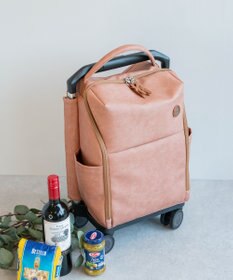 ACE BAGS & LUGGAGE soelte マルメ お買い物キャリー 23L 35982 ソエルテ ソフトスーツケース