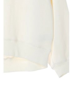 AMERICAN HOLIC デザインスリーブロゴスウェット