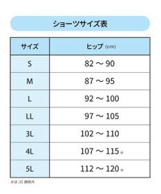 WACOAL 【GOCOCi ゴコチ】 ショーツ はきこみ丈ふかめ まるでつけていないようなはきごこち ムレにくい フラット仕上げ CGG220とペア CGG510とペア PGG310 /ワコール