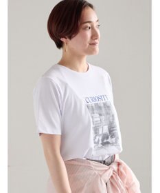 Te chichi アソートネコフォトスタンダードTシャツ