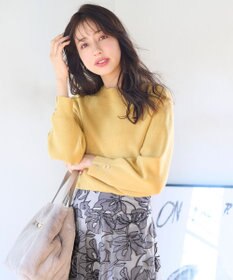 ANY SIS 【洗える】彩色兼美 ニット