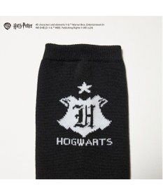 ing <ing>【ハリー・ポッターコラボレーション】エンブレムデザインソックス