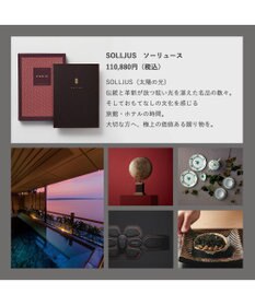 antina gift studio stage up(ステージアップ) カタログギフト ＜ポールシャーナン＞