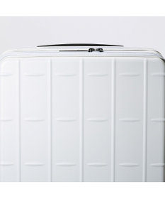 ACE BAGS & LUGGAGE ace. トレリスZ スーツケース 41/49L 機内持込 エキスパンド 09071 エース