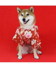 PET PARADISE ペットパラダイス 手毬菊 着物 中型犬