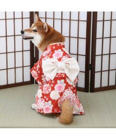 PET PARADISE ペットパラダイス 手毬菊 着物 中型犬