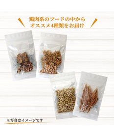PET PARADISE ペットパラダイス 犬 おやつ デリスタイル4種類 鶏肉系セットB